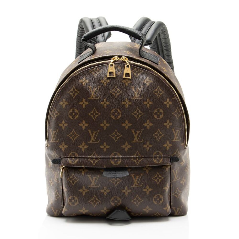 Louis Vuitton Monogram Canvas Palm Springs MM Backpack